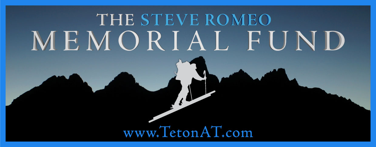 Image result for steve romeo foundation logo
