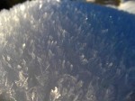 Hoar frost crystals