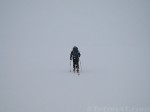 randokitty-skis-across-jackson-lake