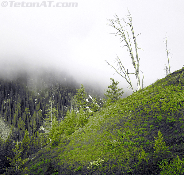 green-quartzite-osprey-falcon-canyon