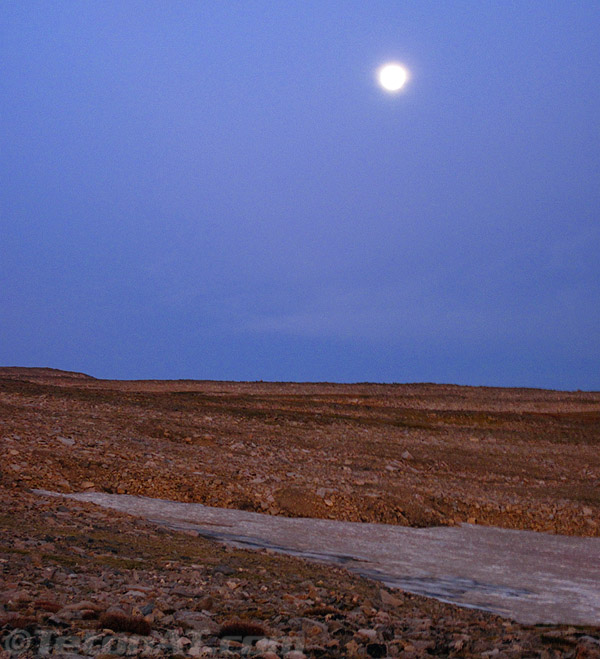 moon-over-frozen-to-deat-plateau