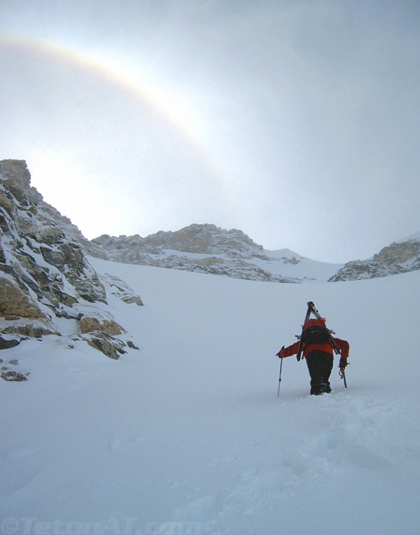 reed-climbs-towards-heaven