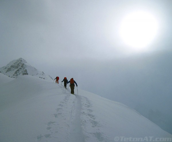 into-the-alpine-on-rogers-pass