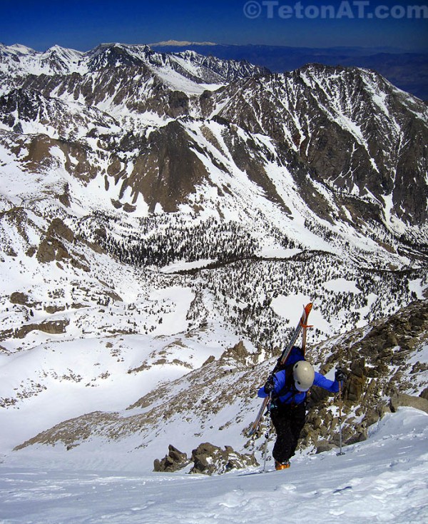 kitty-climbs-the-north-face-of-university-peak