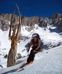 kitty-skis-in-the-sierras